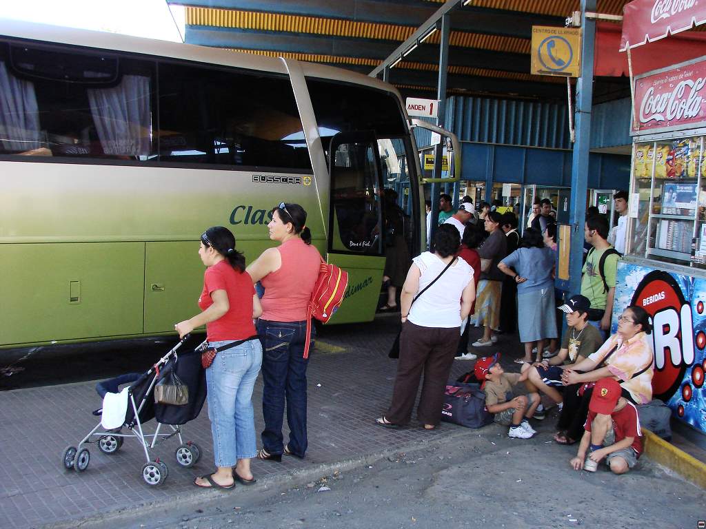 Chillan autobusak.jpg